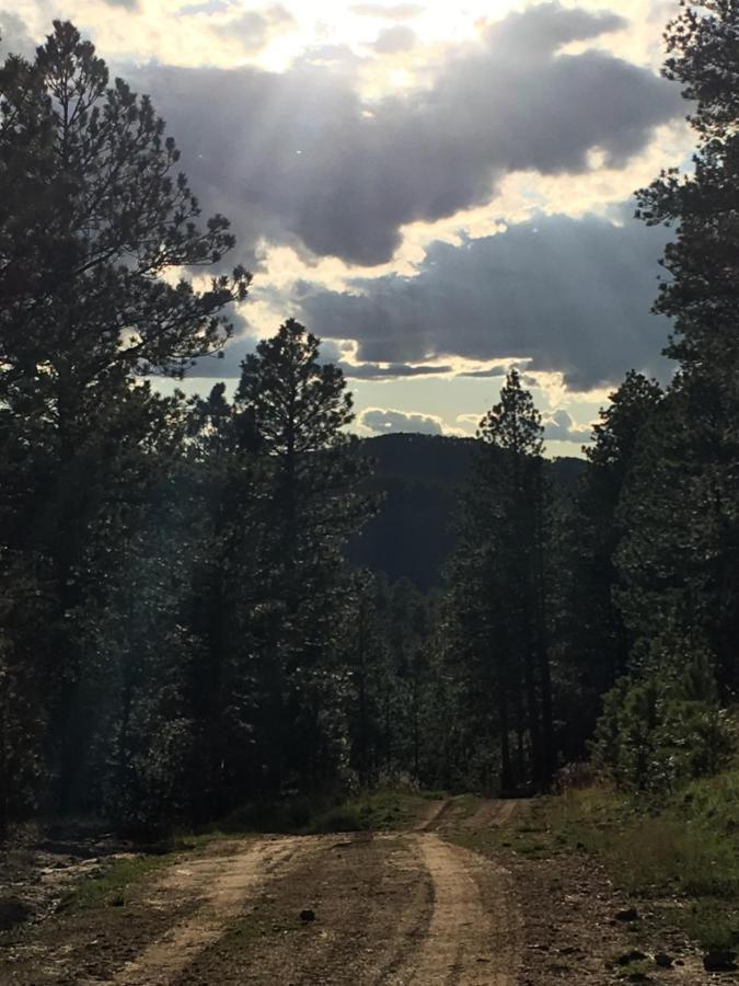 Priceless Black Hills View Rapid City Ngoại thất bức ảnh