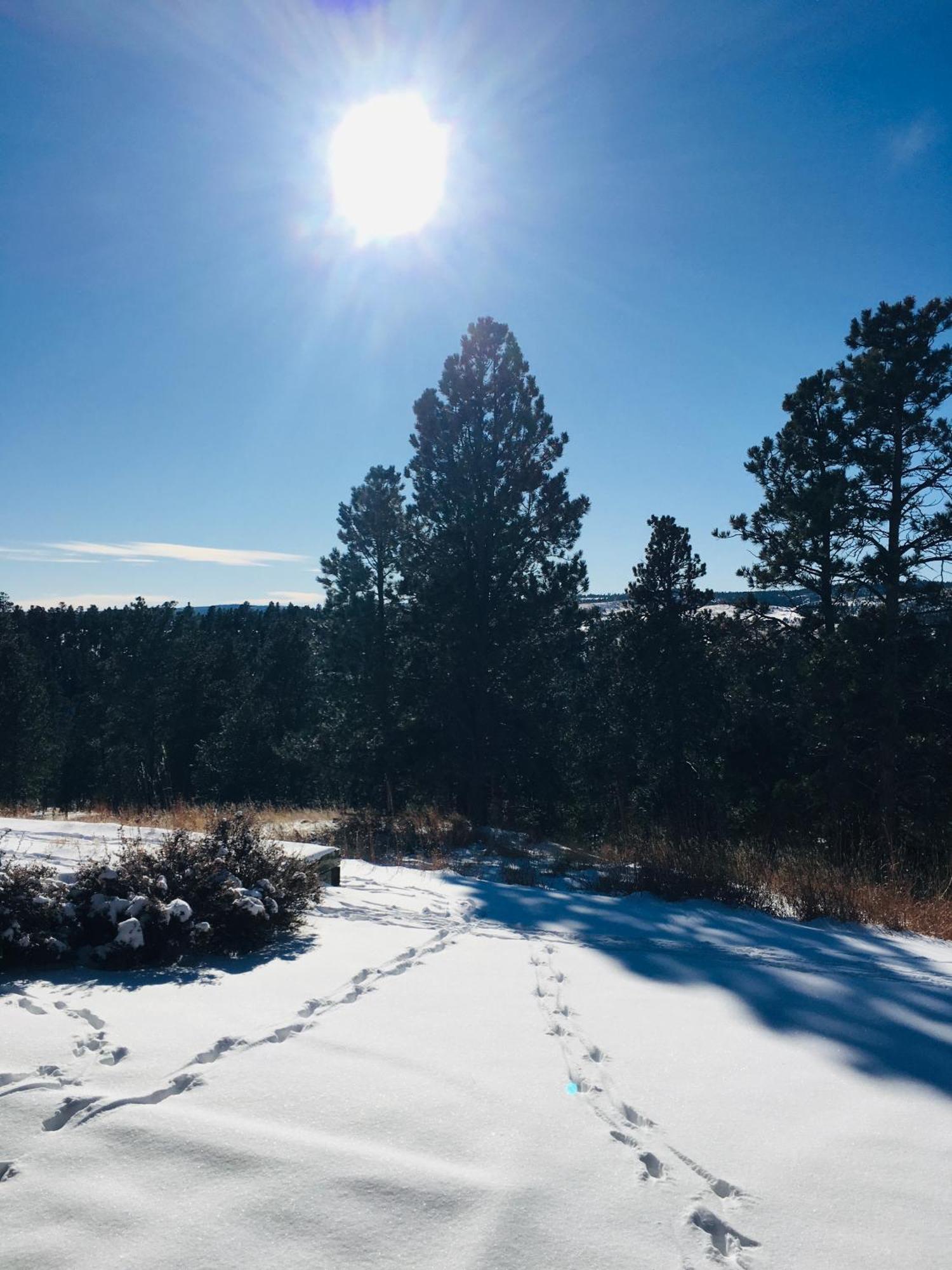 Priceless Black Hills View Rapid City Ngoại thất bức ảnh
