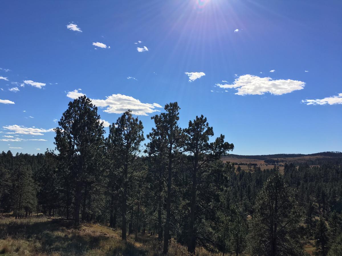 Priceless Black Hills View Rapid City Ngoại thất bức ảnh